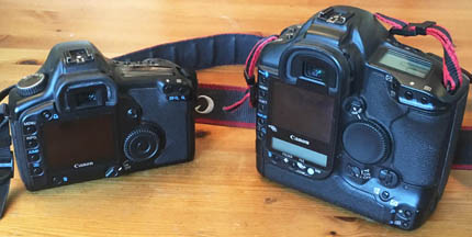 Canon EOS 1D vs 5D size comparison